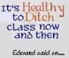 Ditch class