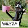 Cat_Dancinginv