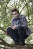 Twilight Edward Cullen