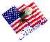 American Flag - Alaata