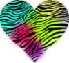 Rainbow Zebra Heart