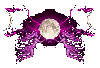 Moon Fairies