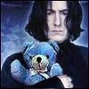 Snape with bear