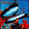 just fly away