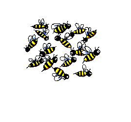 adina's bee heart