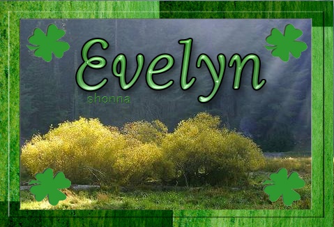 Evelyn