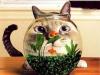 Cat at the fish bowl