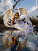 water angel