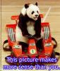 racing panda