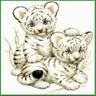 Tiger Babies