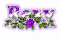 Rexy purple rose