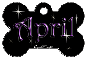 dog bone tag stars purple april