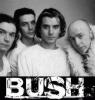 Bush Band