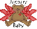 january baby bear