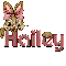 Bunny & Paw:Hailey