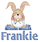 bunny frankie