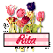 Spring Tulips - Rita