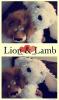 Lion&lamb