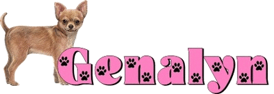 Chihuahua with Genalyn
