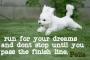 run for your dreams pelia