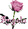 pink rose angela