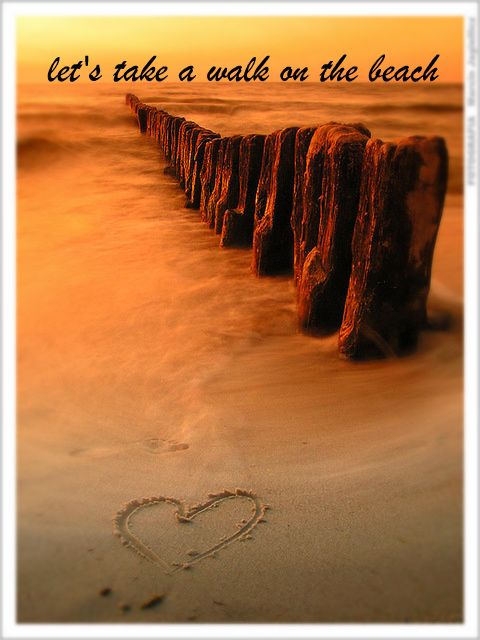 lets take a walk on the beach