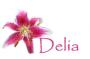 name Delia with flower