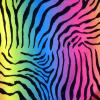 Rainbow Zebra Stripes