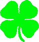 St Patrick's Day