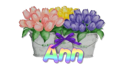tulips with name Ann