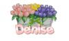 tulips with name Denise