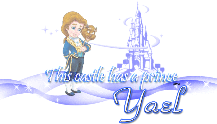 This castle has a prince - Yael