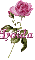 pink rose loida