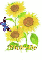 richelle sun flower
