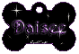 purple dog bone tag stars daisee