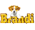 Puppy: Brandi