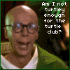 turtle club