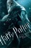 Harry Potter & The Half-Blood Prince Poster - Dumbledore