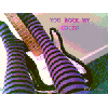 rock my socks 