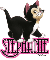 Cute Kitten - Stephanie