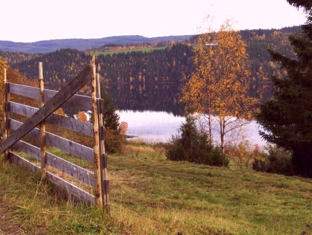 Autumn