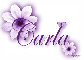 Purple Flower - Carla