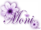 Purple Flower - Moni