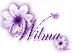 Purple Flower - Wilma