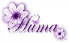 Purple Flower - Huma