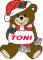 Christmas Teddy Bear - Toni