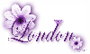 Purple Flower - London
