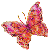 mariposa ocr