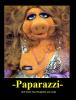 Muppet's Paparazzi