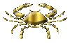 gold crab